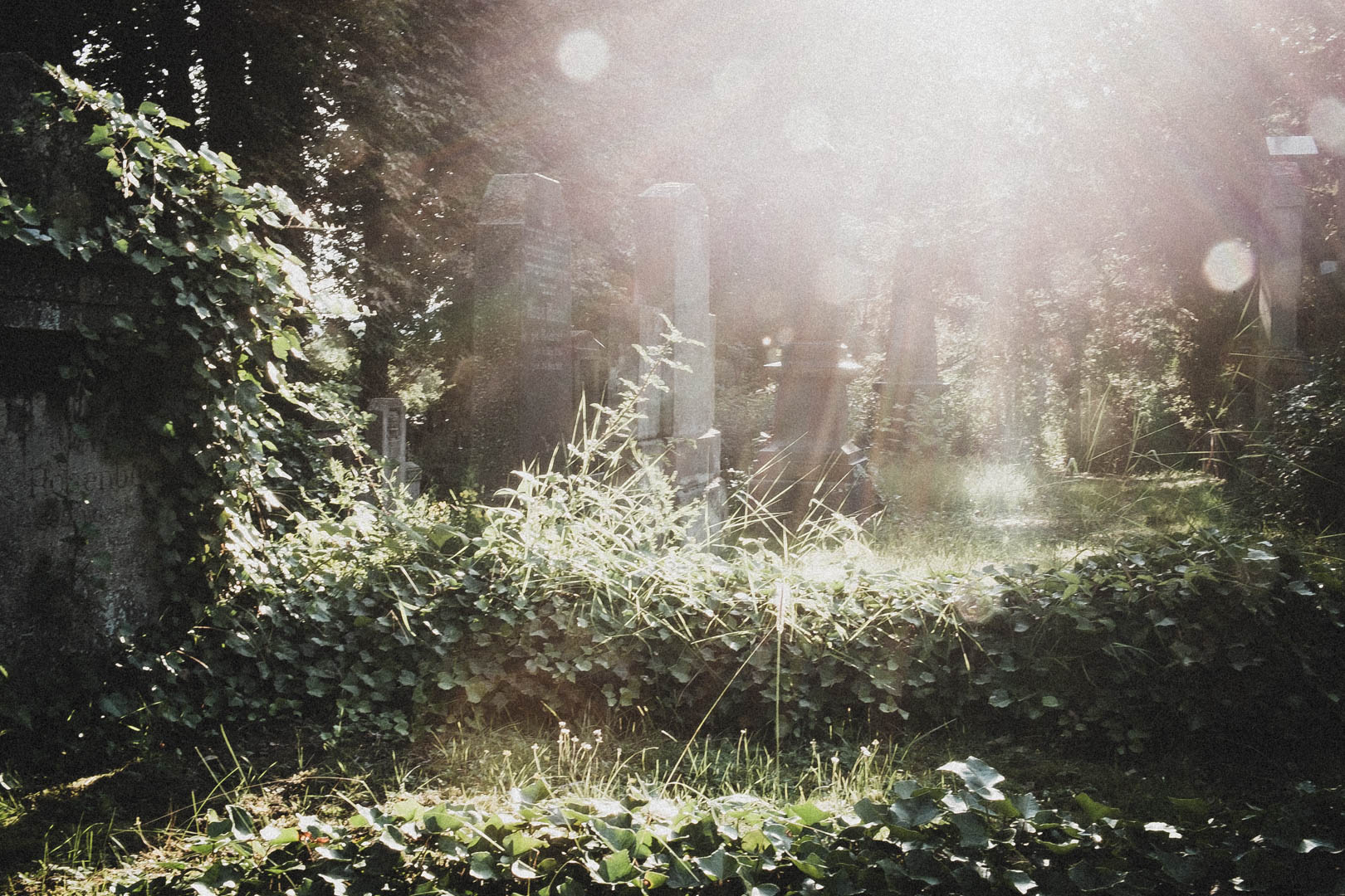 Jüdischer Friedhof Kassel-Bettenhausen